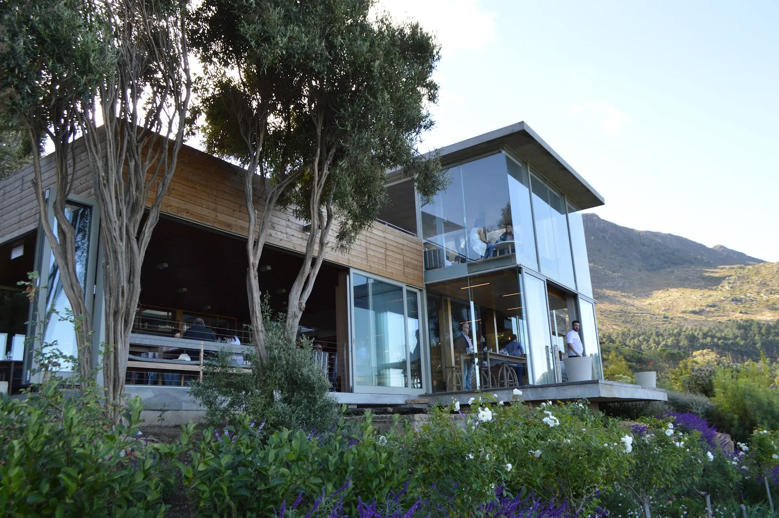 Beau Constantia