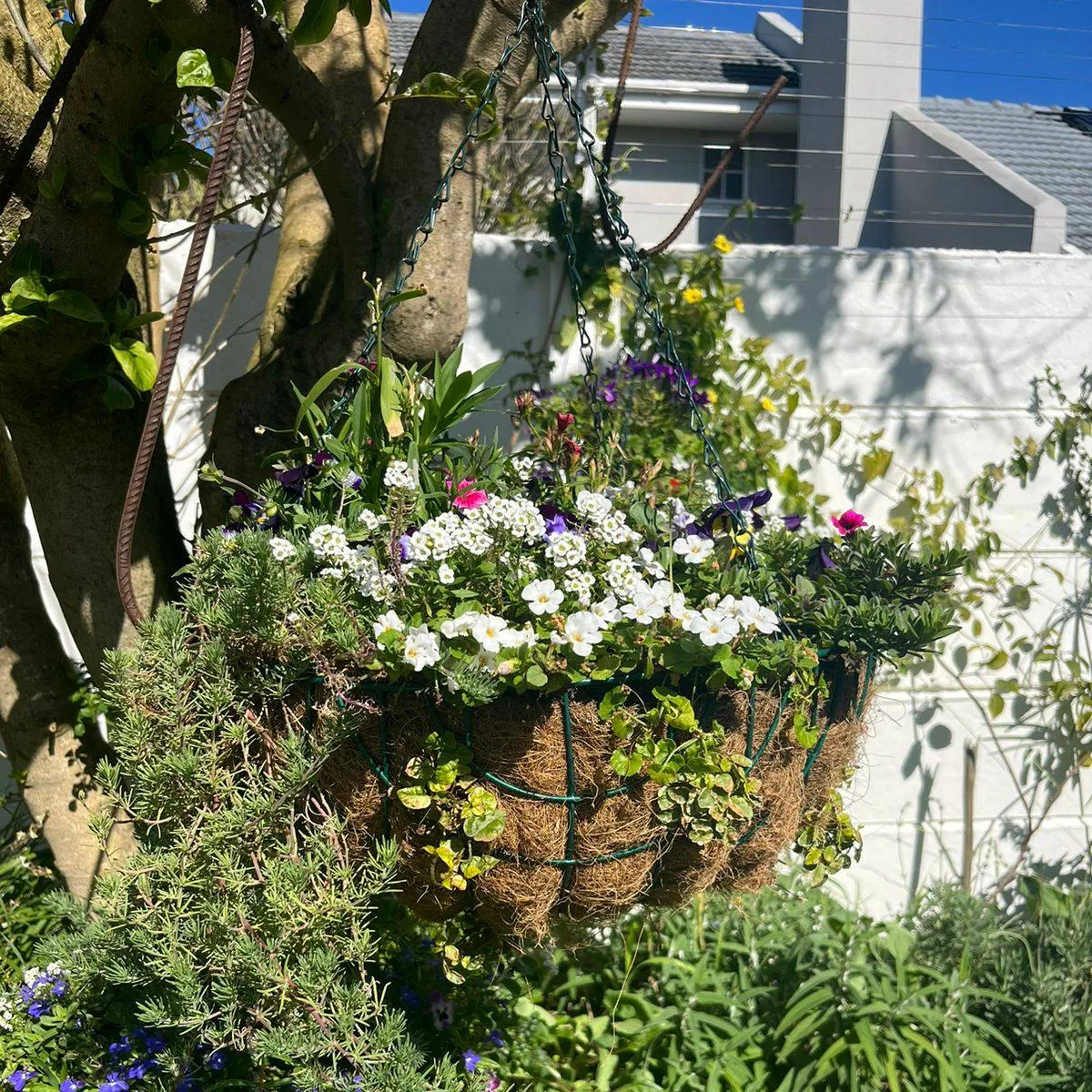 Village Gardens Landscaping